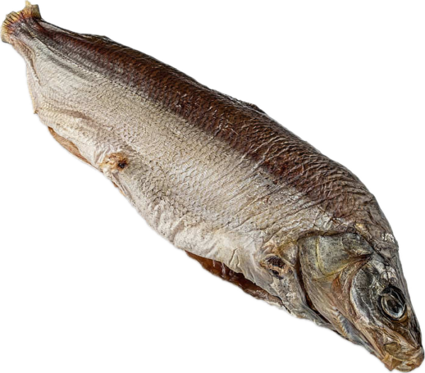 Muksun curado y seco